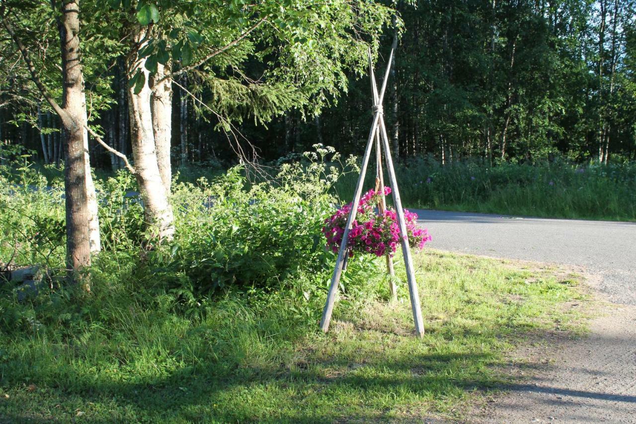 Villa Havula Ranua Buitenkant foto